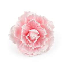 1 件大号花朵头饰，适合女士德比茶会花式花帽，女士头饰，女士服装配饰、发带、发箍头带 - 彩色 - 查看 25