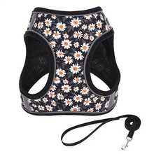 HP386--Arnés estilo chaleco impreso para gatos y perros, 360° se ajusta a la forma del cuerpo de la mascota, cuerda para perros de 1.5 metros. - HLP381 rosa - Ver 2
