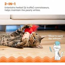 Catstages Crunchy Pickle Kicker Toy With Catnip And Dental Mesh, Pickle Shape, Plush And Crinkle Toy Kicking, Tossing, And Teeth Cleaning, Green - Nấm Kicker - Xem 2