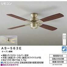 Ceiling Fans