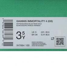 Giannis Immortality 4 (GS) Casual Low Top Sneakers, IH7664-100