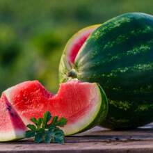 Black Diamond Watermelon Vegetable Planting Fruit Planting Suitable For Garden Enthusiasts