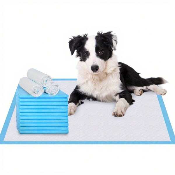 100Pcs Pet Diaper Pad Dog Disposable Diaper Dog Diaper Cat Thickened Diaper Pad, Suitable For Training Pets To Go To The Toilet, Preventing Pets From Urinating Indiscriminately, Maintaining Family Hygiene, The Best Daily Gifts For Happy Kittens And Puppies, Birthday Gifts, Pet Supplies, Pet Diaper Pad