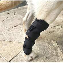 Leg Knee Pads For Dogs Recovery Bandage Anti-Lick Wound Dog Arthritis Auxiliary Fixed Joint Protector Dog Accessories - Multicolor - View 6