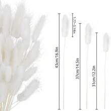 60/120 Pezzi di Fiori Naturali Essiccati per Decorazione, Fiori di Erba di Coda di Coniglio Naturali Essiccati, Erba di Pampas Essiccata, Utilizzati per Decorazione Domestica, Decorazione Matrimonio, Decorazione Festa, Artigianato Fai-da-te, Accessori per Servizi Fotografici, Decorazione a Tema, 45cm (Bianco)