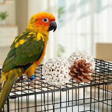 Kyouki Bird Toys Parrot Toys Natural Bird Foraging Box Foot For Parakeets,Cockatiels,Conures,Love Birds,And Other Small To Medium Birds (Medium) - Large - 查看 6