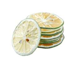 10pcs/Pack Dried Lemon Slices, Craft Decorative Accessories, Suitable For DIY Handmade Candles, Soap, Aromatherapy, Home Decor, Suitable For All Holidays And Events - Candle Dried Flowers (1 Piece) - View 4