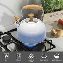 Floral 304 Stainless Steel Whistling Tea Kettle - 2.4L Stovetop Teapot For Induction & Gas Stove - Ergonomic Handle & Fast HeatingSHEIN - Purple - View 6