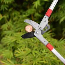Extendable Telescopic Tree Pruner Garden Branch Cutter Lopper Heavy Duty - Red - View 8