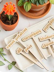 有趣的定制亚克力植物桩，个性化植物标牌，室内盆栽配件，植物标记，花园桩，花园装饰，植物配件，有趣的植物标记，植物桩，植物标牌，波西米亚风礼品，Cottagecore - 彩色 - 查看 12