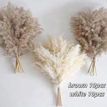 10/20/30 Pieces Of White Artificial Pampas Grass Decoration 17.3/21.6-Inch Small Fake Reed Feather Bouquet, Brown And White Pampas Grass Decoration, Bohemian Style, Room Flower Decoration, Wedding Vase, Flower Wreath Decoration, Bedroom Decoration, Bohemian Wedding,Plant Decoration, Floor Decoration - Dark Brown - View 14
