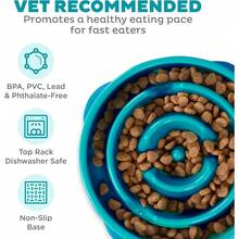 Outward Hound Fun Feeder Slo Bowl, Slow Feeder Dog Bowl, Medium/Mini, Turquoise - Màu ngọc lam - Xem 3