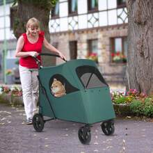 Extra Large Pet Stroller For Medium & Large Dogs Up To 120lbs – Heavy Duty Foldable Dog Stroller With 360° Swivel Wheels & Rear Brake – Adjustable Handle For Jogging, Walking, Vet Visits & Outdoor Adventures – Easy Fold Design For Travel & Storage - Dark Green - View 7