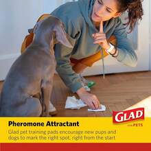 Glad Pets - almohadillas para orejas de entrenamiento de carbón activado resistente, 24 x 24 pulgadas, 30 unidades |   almohadillas para orejas de entrenamiento ultra absorbentes, absorbe un 50%ás - Carbón vegetal - Ver 4