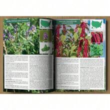2021 Wild Food Forager's Guide - A5 Size (US)