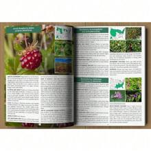 2021 Wild Food Forager's Guide - A5 Size (US)