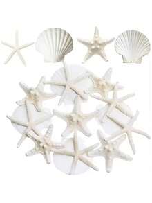 9/15Pcs Starfish Decor, Small Starfish For Crafts, Tiny Sea Shells For Crafting, Scallop Clam Shells For DIY Ocean Themed Party,Wedding, Party - Multicolor - View 4