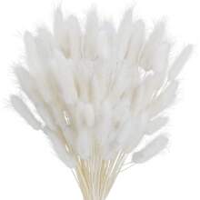 60/120 Pezzi di Fiori Naturali Essiccati per Decorazione, Fiori di Erba di Coda di Coniglio Naturali Essiccati, Erba di Pampas Essiccata, Utilizzati per Decorazione Domestica, Decorazione Matrimonio, Decorazione Festa, Artigianato Fai-da-te, Accessori per Servizi Fotografici, Decorazione a Tema, 45cm (Bianco)