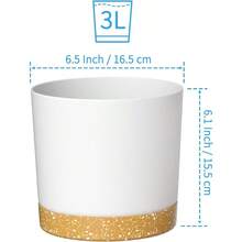 FHDFHG 6.5 Inch Plant Pots, Plastic Planter With Drainage Hole And Saucer, A Set Of 2 Flower Pots For Indoor, Outdoor, House Plants, Succulents, Flowers (Dark Grey) - 白色 - 查看 2