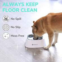Spill Water Bowl For Dogs Slow Feeder For Essy Drinkers DripFree Splasroof Design  35oz - 灰色 - 查看 2
