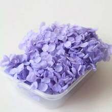 1 盒永生花 DIY 材料套装，节日礼物，热销现货 - 紫色系 - 查看 16