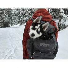 Outward Hound PupPak Dog Front, Medium, – Hands-Hiking & Camping Pet Backpack Small Pets Up To 20 Lbs, Padded Straps, Breathable Mesh,-Resistant, Safety Clip - 灰色背包 - 查看 7
