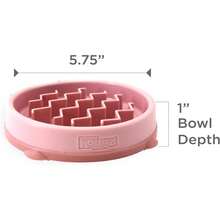 Outward Hound Fun Feeder Slo Bowl, Slow Feeder Dog Bowl, Medium/Mini, Turquoise - Hồng - Xem 7