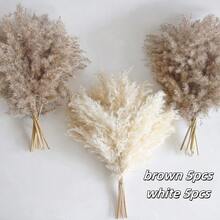 10/20/30 Pieces Of White Artificial Pampas Grass Decoration 17.3/21.6-Inch Small Fake Reed Feather Bouquet, Brown And White Pampas Grass Decoration, Bohemian Style, Room Flower Decoration, Wedding Vase, Flower Wreath Decoration, Bedroom Decoration, Bohemian Wedding,Plant Decoration, Floor Decoration - Dark Brown - View 16