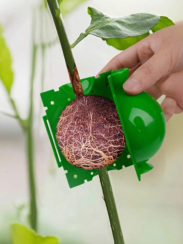 10/20 piezas Caja para el crecimiento de raíces de árboles, herramientas de injerto de bolas de enraizamiento, propagación de plantas de alta presión, vainas para acodo aéreo, dispositivo de bolas de injerto para esquejes y plántulas