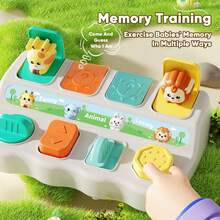 Push Button Popup Switch Box Baby Educational Toy For Early Learning & Cognitive Development