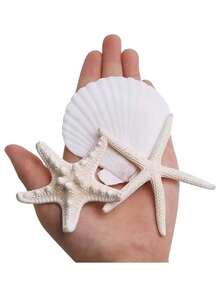9/15Pcs Starfish Decor, Small Starfish For Crafts, Tiny Sea Shells For Crafting, Scallop Clam Shells For DIY Ocean Themed Party,Wedding, Party - Multicolor - View 2