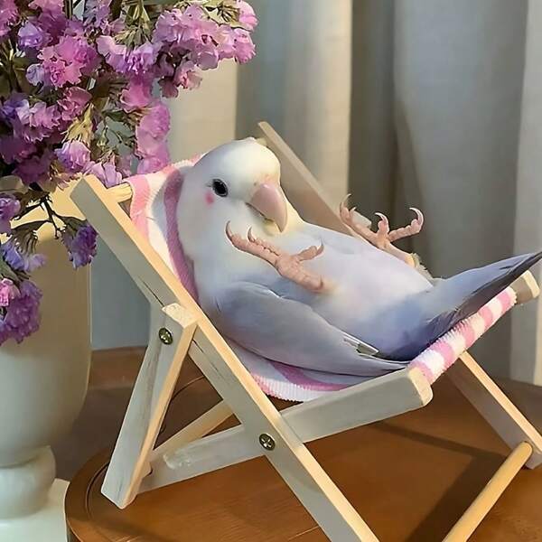 قطعة واحدة جهاز مقعد طائر قابل للطي مصنوع من قماش مخطط ذو طراز أنيق، مناسب للطيور الصغيرة والحيوانات الأليفة للتفاعل والديكور في جميع الفصول