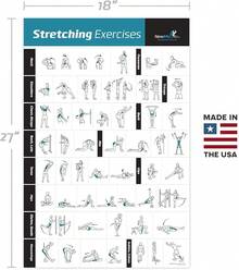 NewMe Fitness Workout Posters Home Gym - Exercise Posters Full Body Workout - Core, Abs,, Glutes & Upper Body Training Program - Stretching - View 2