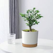 FHDFHG 6.5 Inch Plant Pots, Plastic Planter With Drainage Hole And Saucer, A Set Of 2 Flower Pots For Indoor, Outdoor, House Plants, Succulents, Flowers (Dark Grey) - 白色 - 查看 7