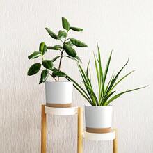 FHDFHG 6.5 Inch Plant Pots, Plastic Planter With Drainage Hole And Saucer, A Set Of 2 Flower Pots For Indoor, Outdoor, House Plants, Succulents, Flowers (Dark Grey) - 白色 - 查看 6
