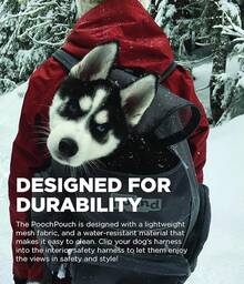 Outward Hound PupPak Dog Front, Medium, – Hands-Hiking & Camping Pet Backpack Small Pets Up To 20 Lbs, Padded Straps, Breathable Mesh,-Resistant, Safety Clip - 灰色背包 - 查看 3