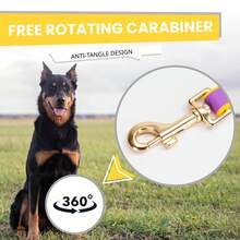 双色浮雕几何图案狗项圈 - 采用防水 PVC 材料制成，耐用且易于清洁，户外宠物项圈，舒适的双色设计，防水狗项圈，宠物配件