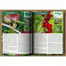2021 Wild Food Forager's Guide - A5 Size (US)