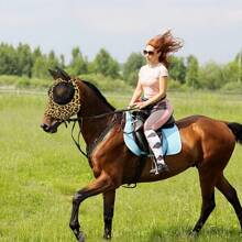 Mosquito-Proof Leopard Print Horse Head Cover, Breathable Horse Face Mask, Equestrian Gear For Horses