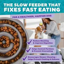 Outward Hound Fun Feeder Slo Bowl, Slow Feeder Dog Bowl, Medium/Mini, Turquoise - 灰色的 - 查看 9