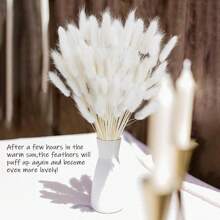 60/120 Pezzi di Fiori Naturali Essiccati per Decorazione, Fiori di Erba di Coda di Coniglio Naturali Essiccati, Erba di Pampas Essiccata, Utilizzati per Decorazione Domestica, Decorazione Matrimonio, Decorazione Festa, Artigianato Fai-da-te, Accessori per Servizi Fotografici, Decorazione a Tema, 45cm (Bianco)