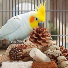 Kyouki Bird Toys Parrot Toys Natural Bird Foraging Box Foot For Parakeets,Cockatiels,Conures,Love Birds,And Other Small To Medium Birds (Medium) - Large - 查看 4