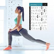 NewMe Fitness Workout Posters Home Gym - Exercise Posters Full Body Workout - Core, Abs,, Glutes & Upper Body Training Program - Stretching - View 5