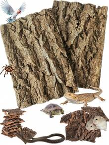5/10PCS Glass Container Cork Bark Background Board, Reptile Tank Tree Background Wall Decoration Habitat Climbing Mat Decoration, Suitable For Lizards, Geckos, Bearded Dragons, Frogs, Fish Tanks - Shape Random