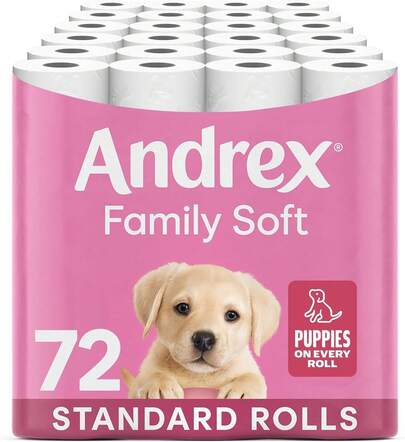 Andrex Family Soft Toilet Tissue 72 Rolls (Previously Andrex Gentle Clean) Gentle On Your Family's Skin– Bulk Pack Of 72 Toilet Rolls, FSC Certified