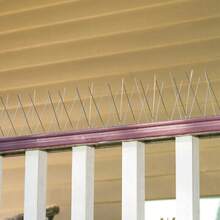 NetHong Bird Repellent Spikes With Stainless Steel Base, Pigeon Repellent Spikes For Roofs And Windows