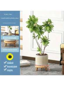 Freestanding Indoor Plant Stand, Living Room Greenery Shelf, New Style Balcony Flower Pot Rack, Windowsill Succulent Display Shelf