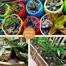 50 جرام/100 جرام/150 جرام/3000 جرام من حجر العقيق الساكورا، حصاة، حجر ديكور خزان الأسماك، ديكور المنزل، لتزيين حوض السمك، مخطط الالتصاق، منظر طبيعي للحديقة، حصى خزان السمك ، ديكور النبات