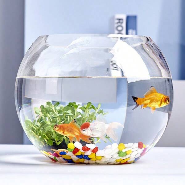 15cm Round Ball Vase Transparent Glass Fish Tank Hydroponic Vase Terrarium Container Micro Landscape Moss Bottle