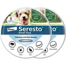 Small Dog Vet-Recommended Flea & Tick Treatment & Prevention Collar For Dogs Under 18 Lbs. | 8 Months Protection - trắng - Xem 1
